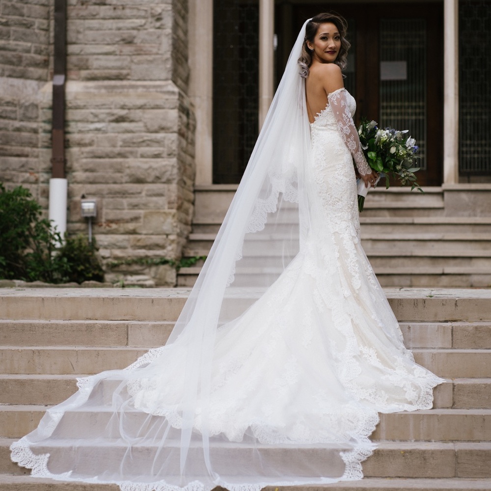 Pronovias Princia Wedding Dress - Picture 4 of 4